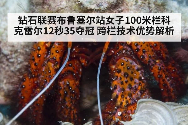 钻石联赛布鲁塞尔站女子100米栏科克雷尔12秒35夺冠 跨栏技术优势解析